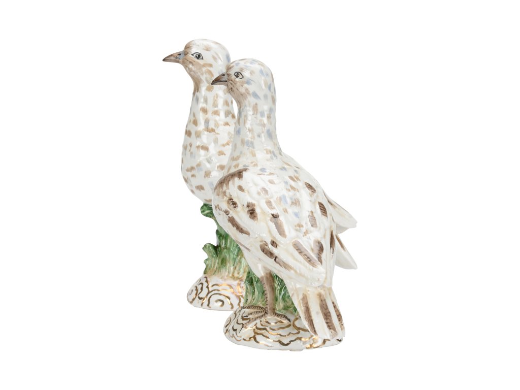 Terns (Pr) - image 4