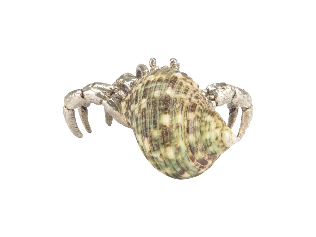 Hermit Crab Paperweight - image 3