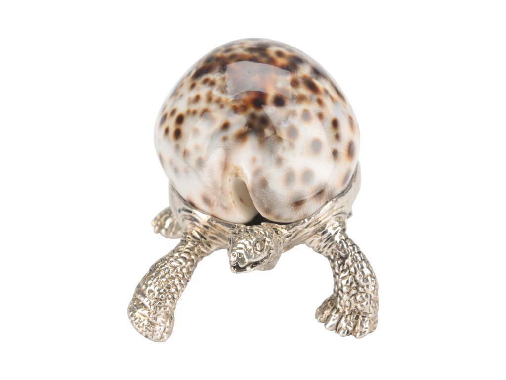 Turtle Paperweight - main image