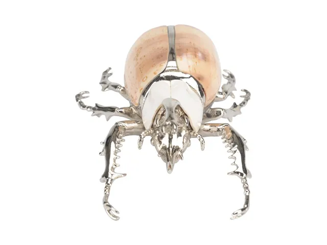 Beetle Paperweight - Alternative View