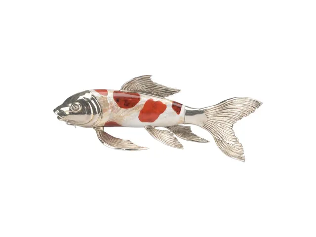 Koi Fish - Alternative View