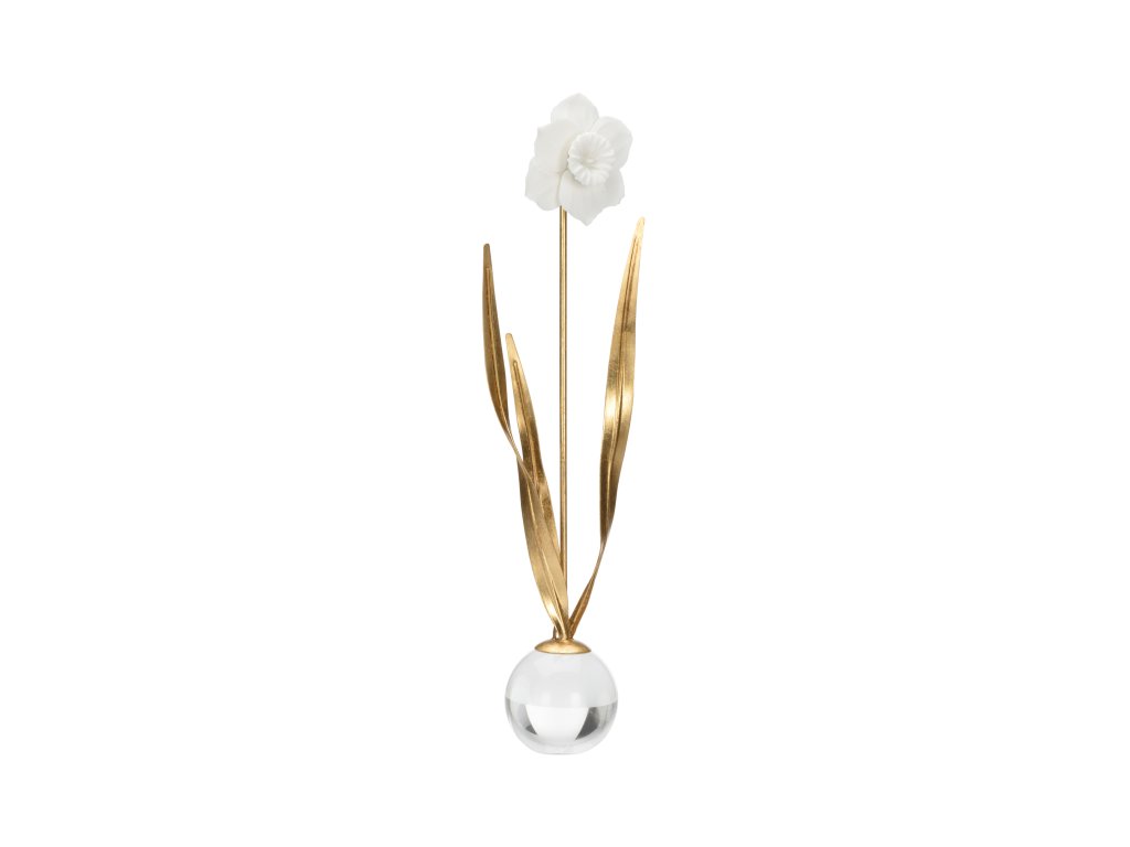 Daffodil - main image