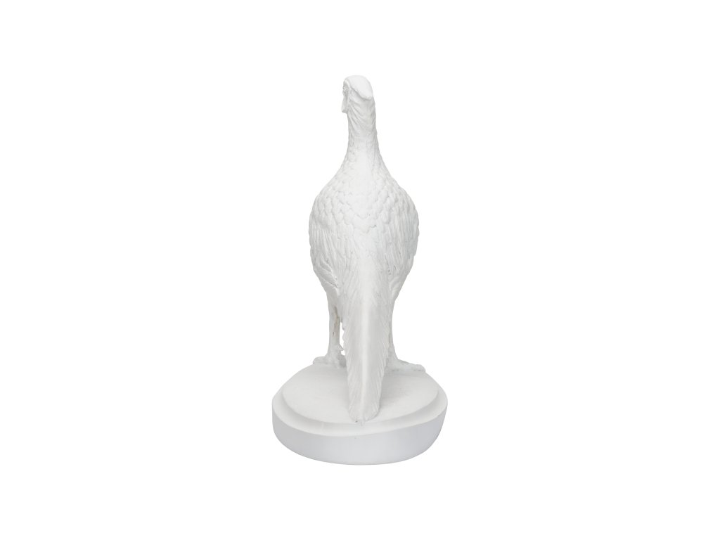 Pheasant - White - image 3