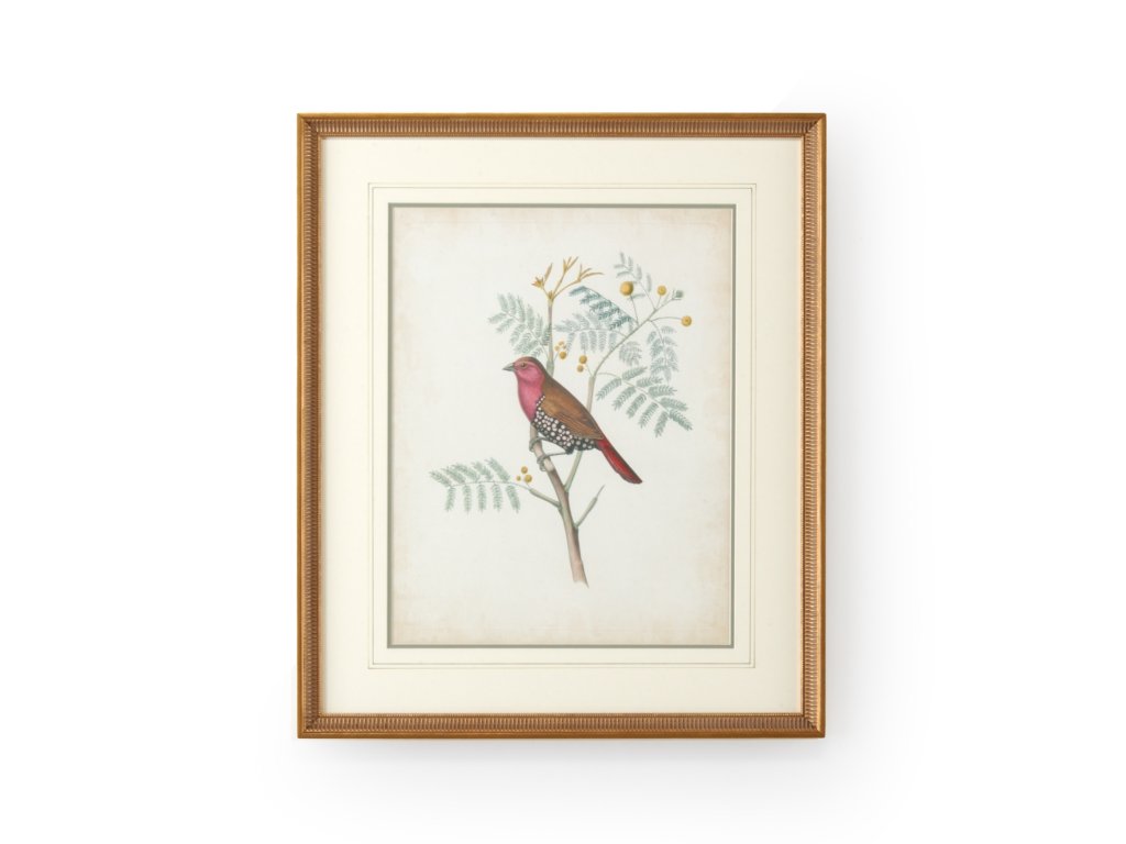 Delicate Birds II - main image