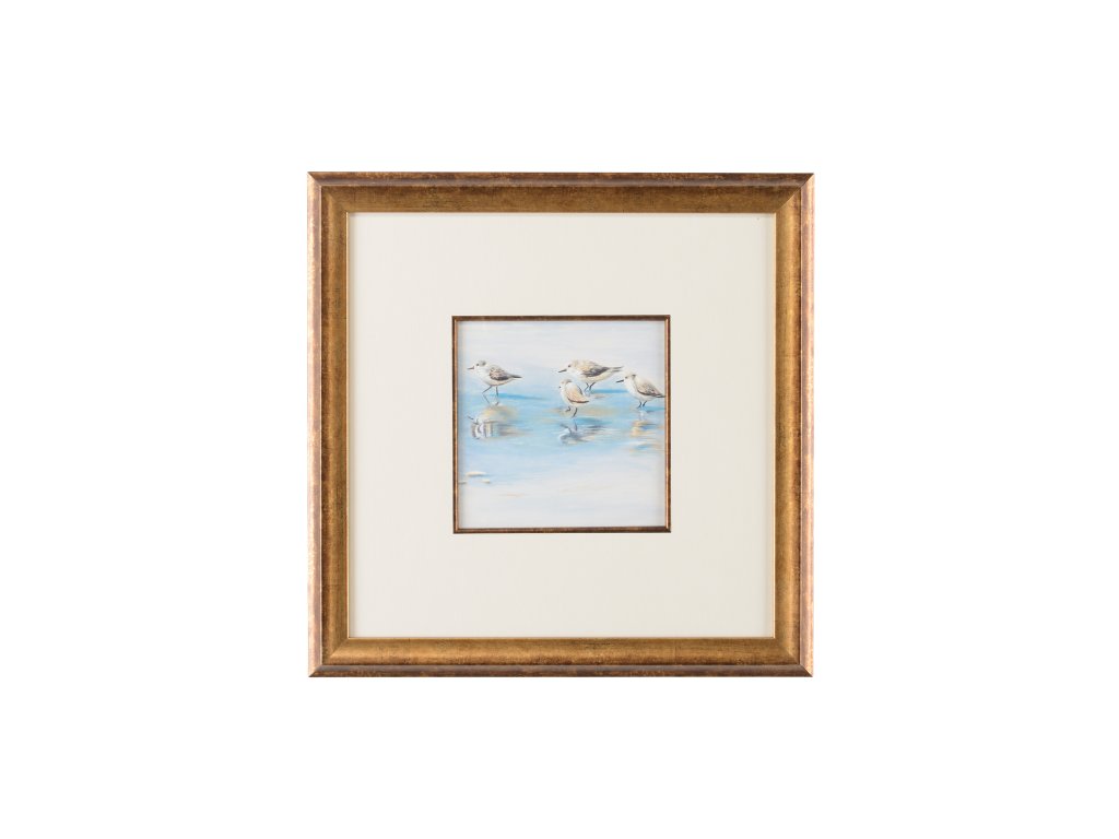 Sand Piper I - main image