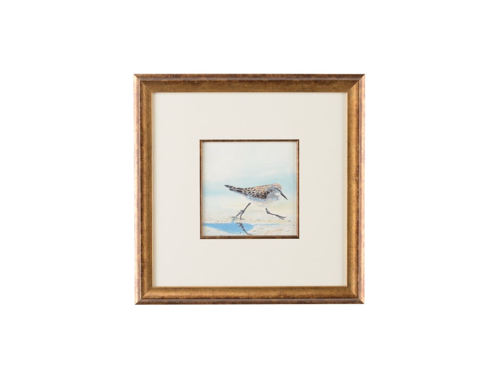 Sand Piper IV - main image