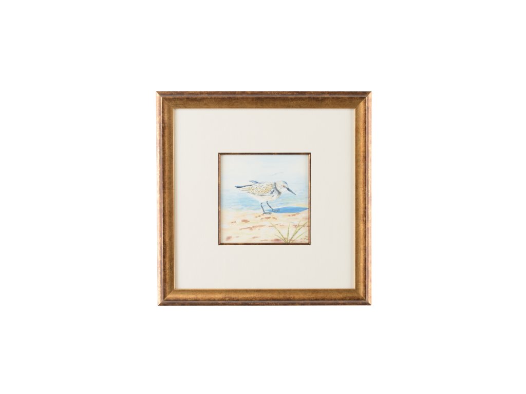 Sand Piper VI - main image