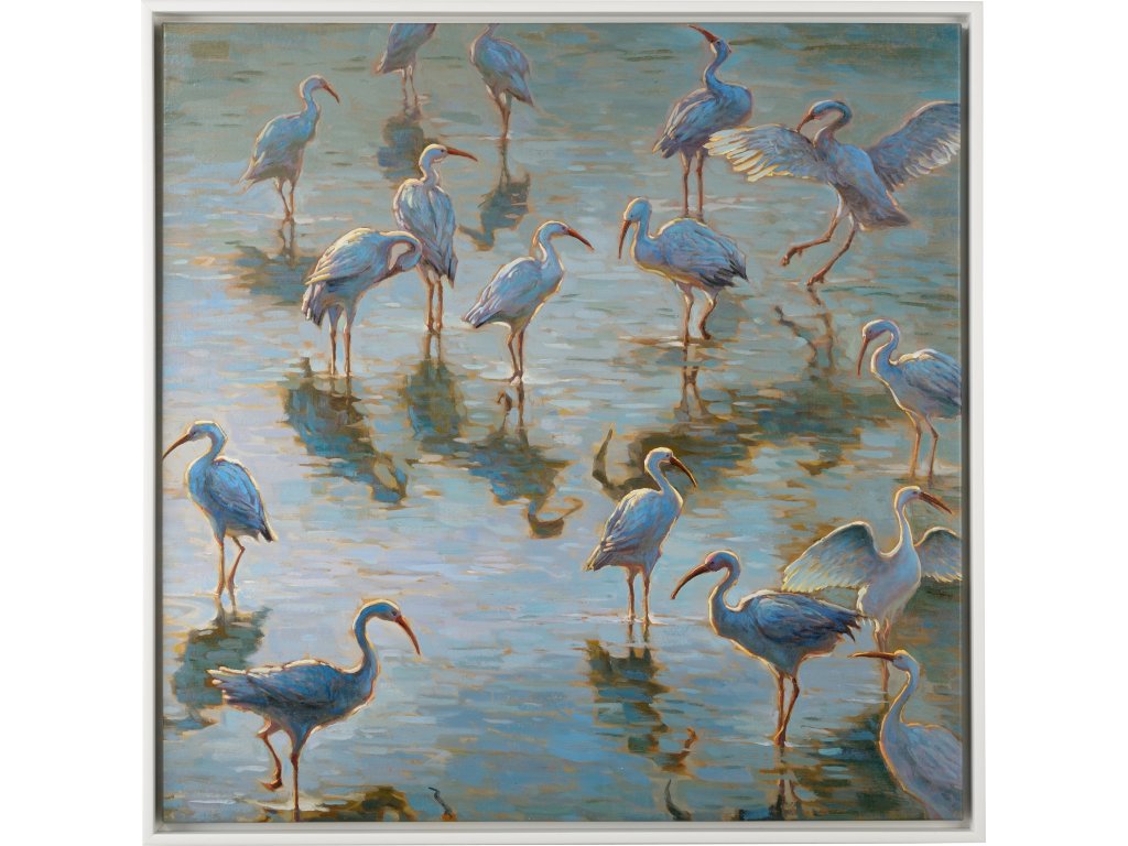 Shorebirds - main image