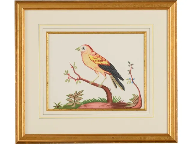 Yellow Wing/Rd Berry
