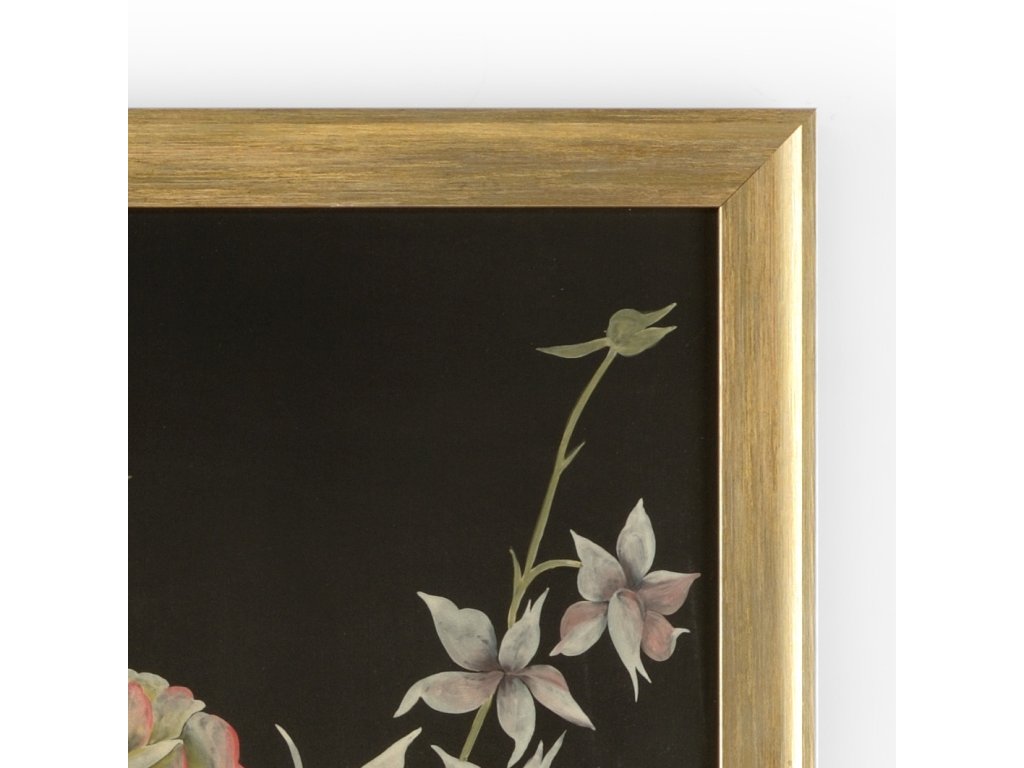 Fleurs En Noir - image 1