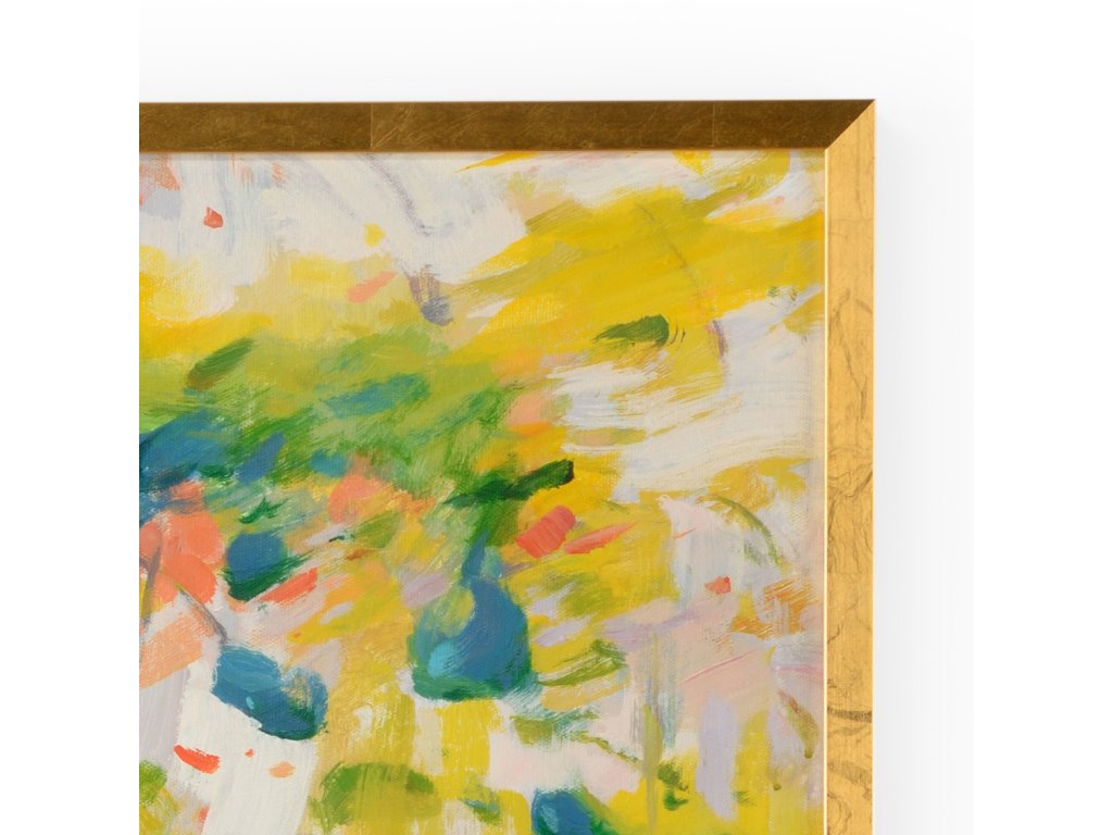 Fripp - image 1