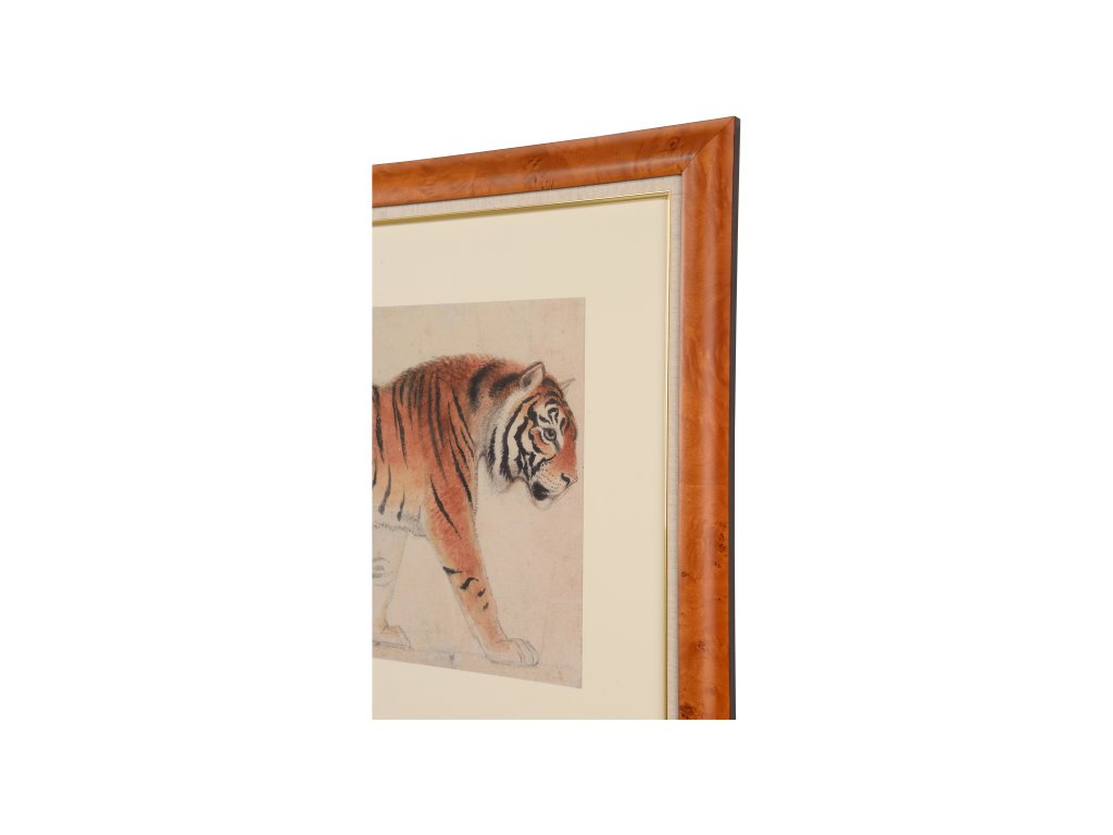 Tiger - image 1