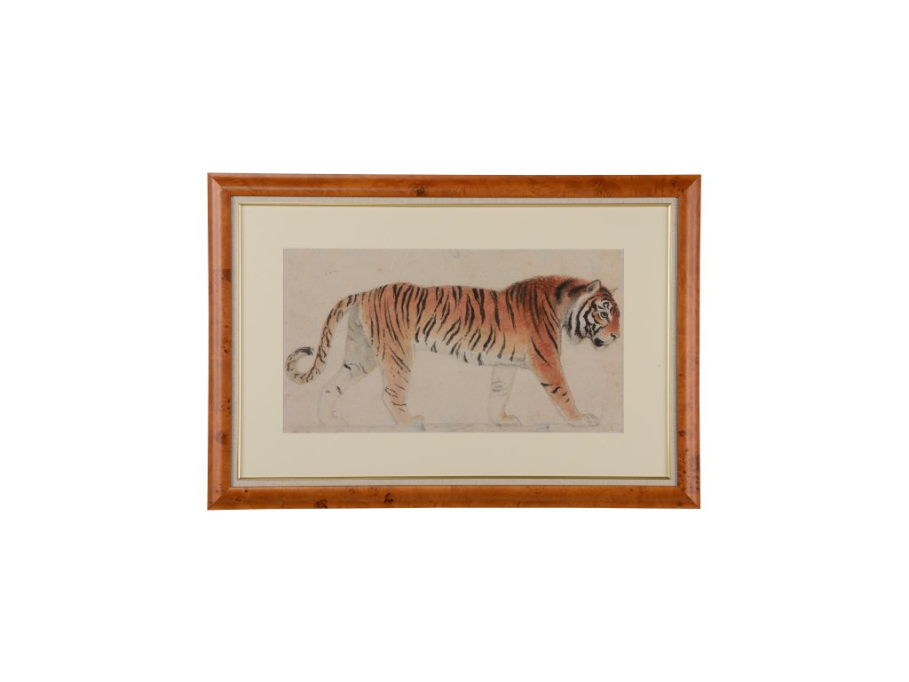 Tiger - main image