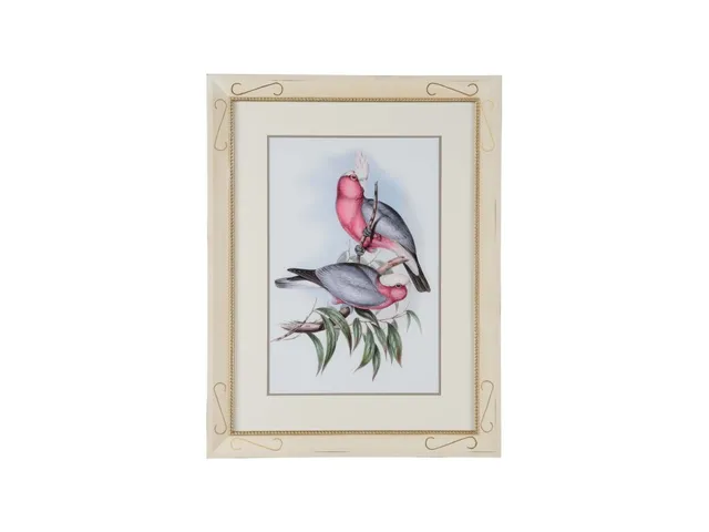 Pastel Parrots II