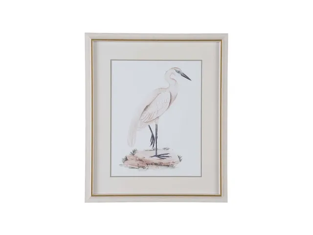 A White Heron IV
