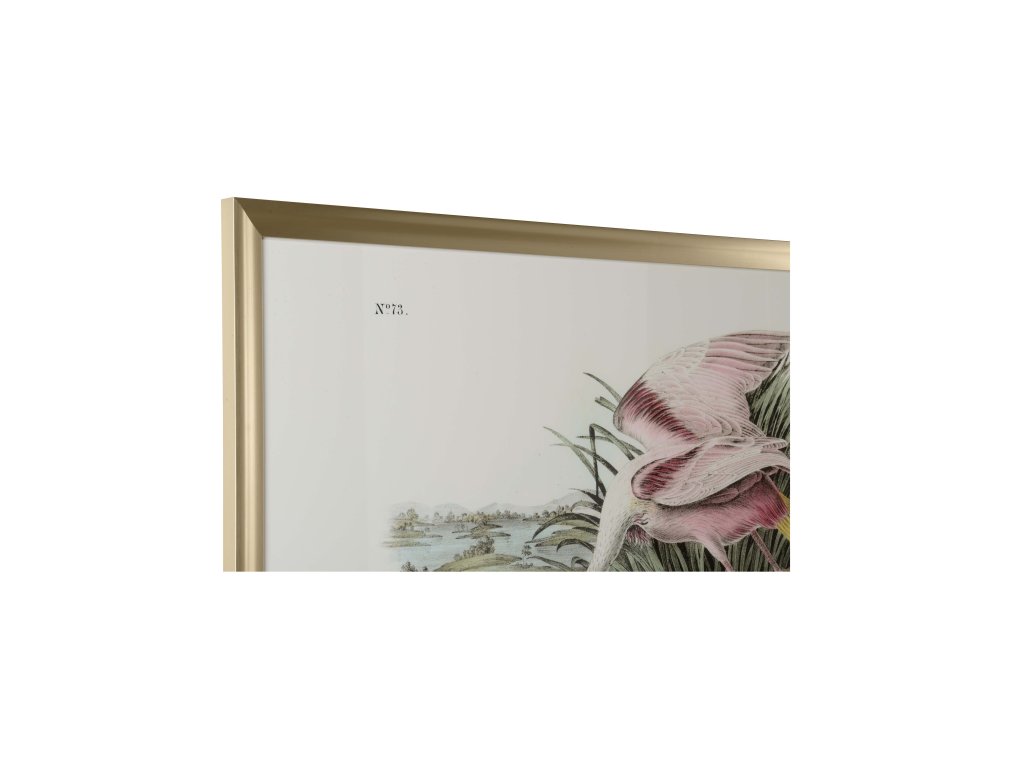 Roseate Spoonbill - image 1