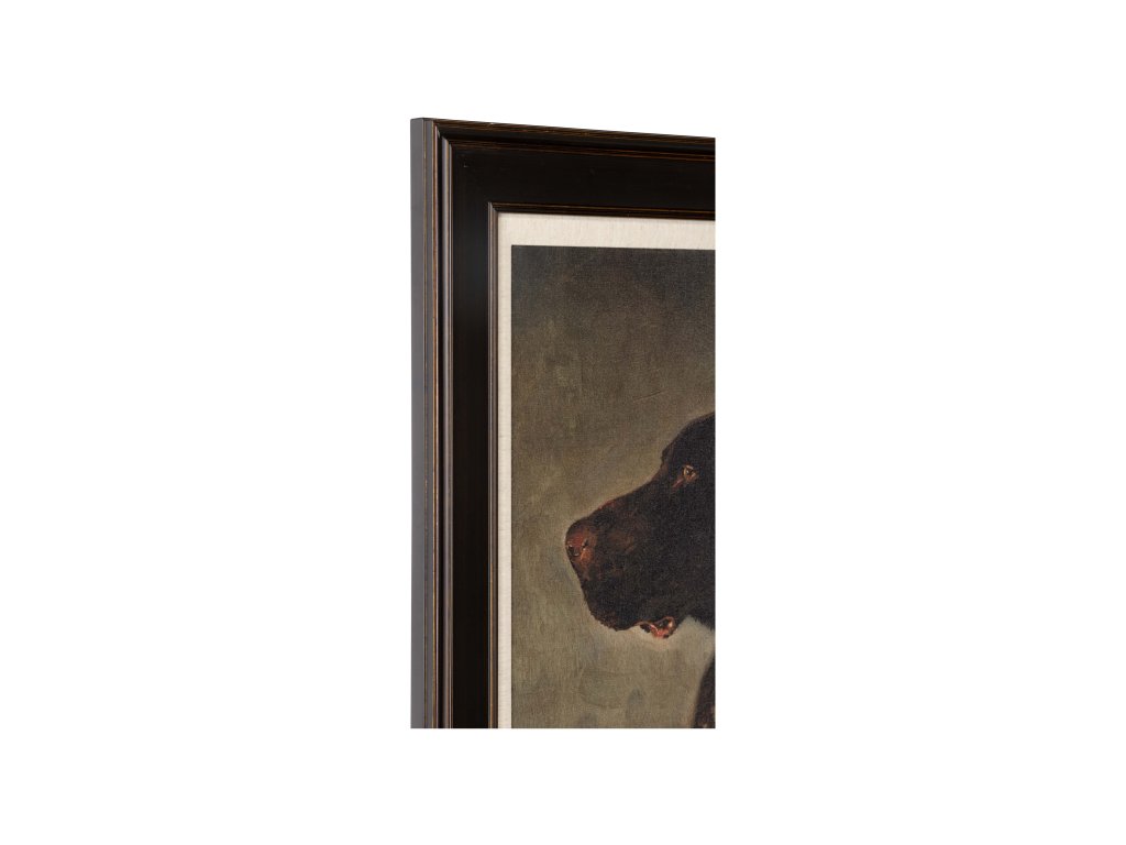 Hunting Dog - image 1