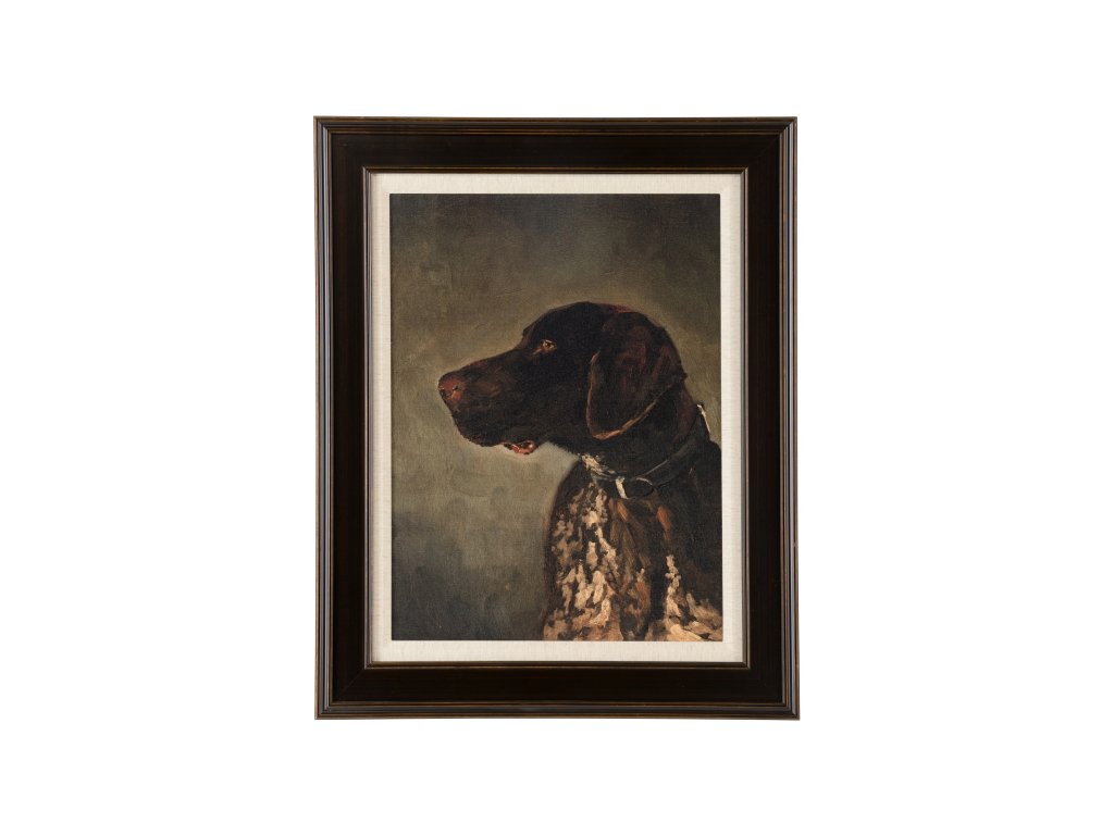 Hunting Dog - main image