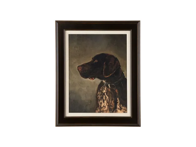 Hunting Dog