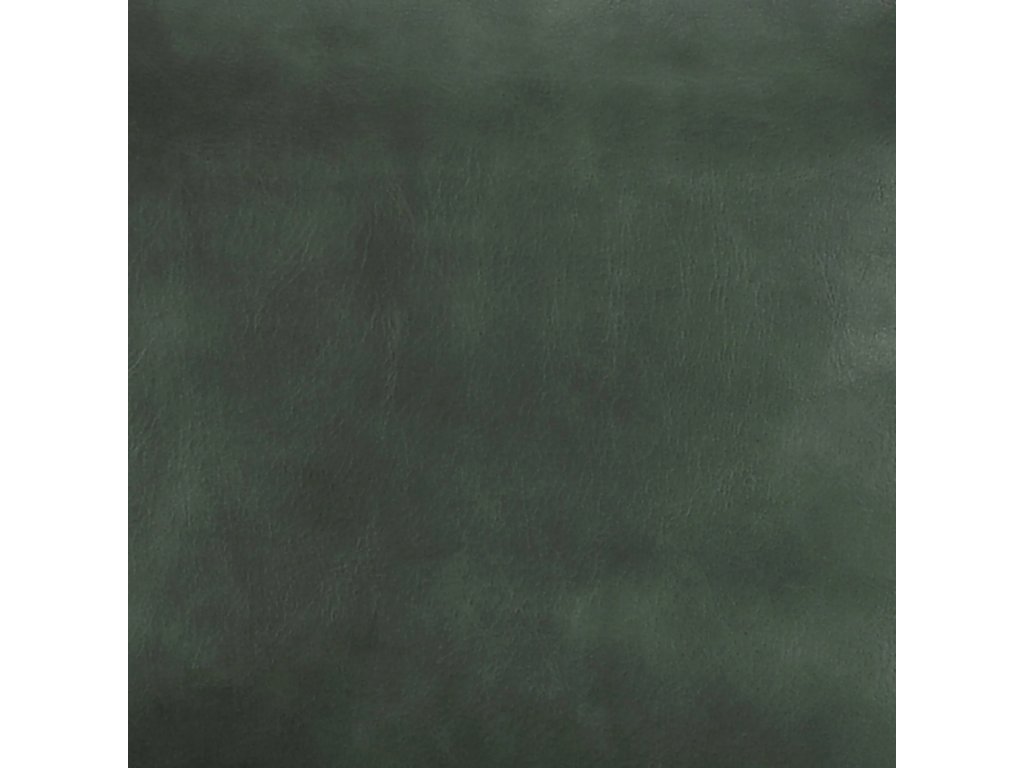 Morgan Leather Accent Chair - Forrest Green - image 5