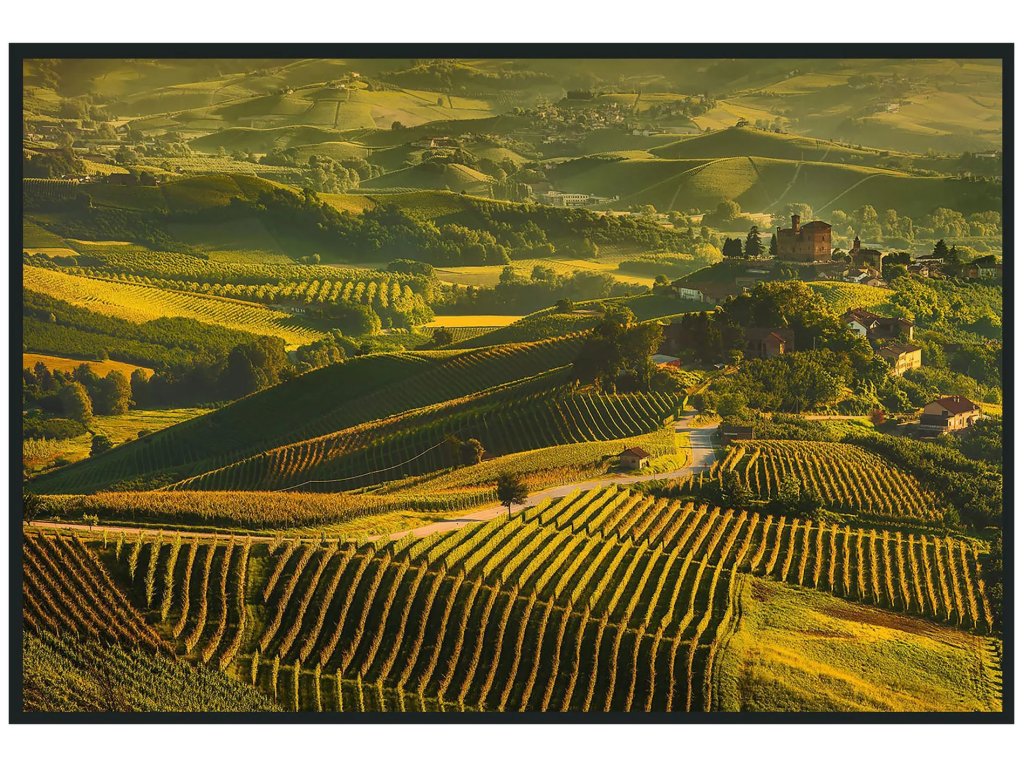 Vinyard Photography 48x72 - main image