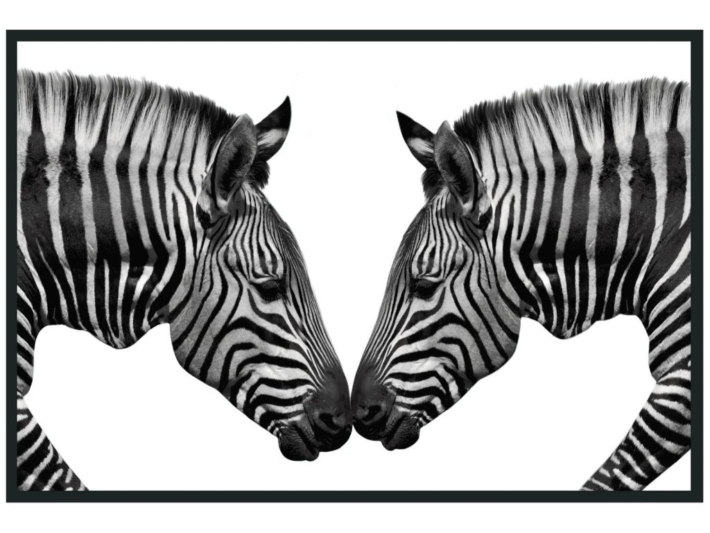 Zebras Photography 48x72 - main image