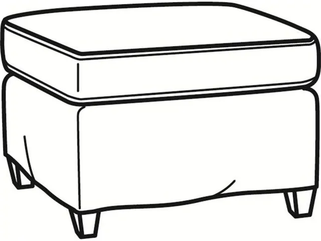 Jeremy Ottoman (25.5W X 19D)