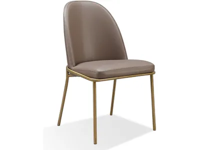 Doheny Leather Upholstered Metal Leg Dining Chair in Boots and Brass - Alternative View