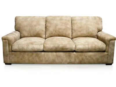 Drew Leather Sofa - Alternative View