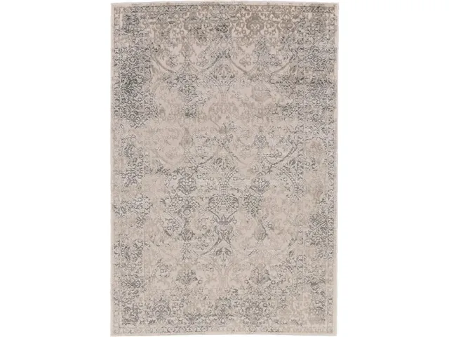 Prasad LIGHT GRAY Rug