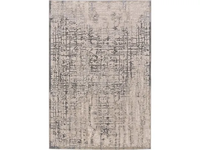 Prasad GRAY Rug