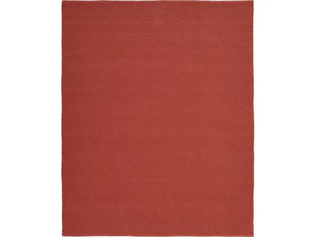 Tito RED Rug