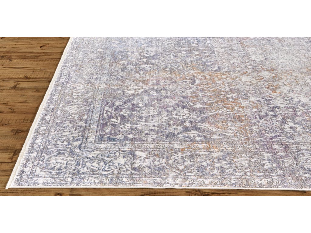 Cecily Transitional Distressed, Gray/Orange/Purple, 2' x 3' Accent Rug - image 6