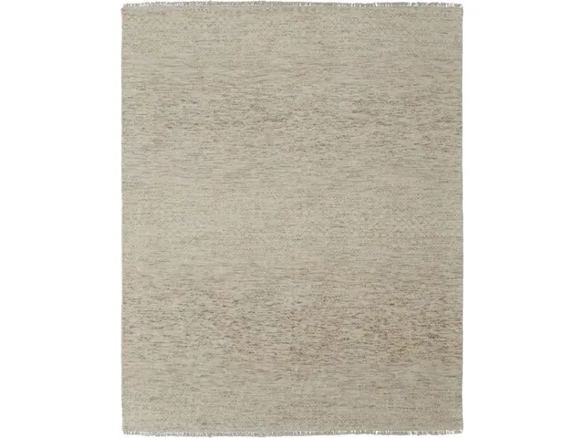 Branson BEIGE/GRAY Rug
