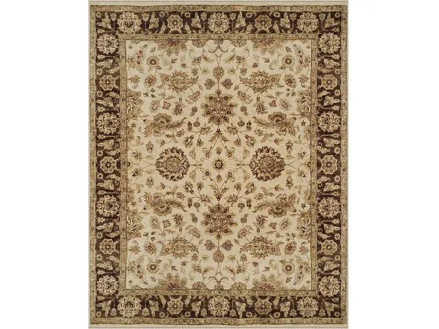 Drake IVORY/BROWN Rug