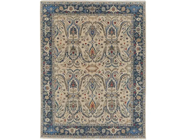 Bhatia IVORY/MULTI Rug