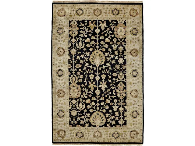 Drake BLACK/BEIGE Rug