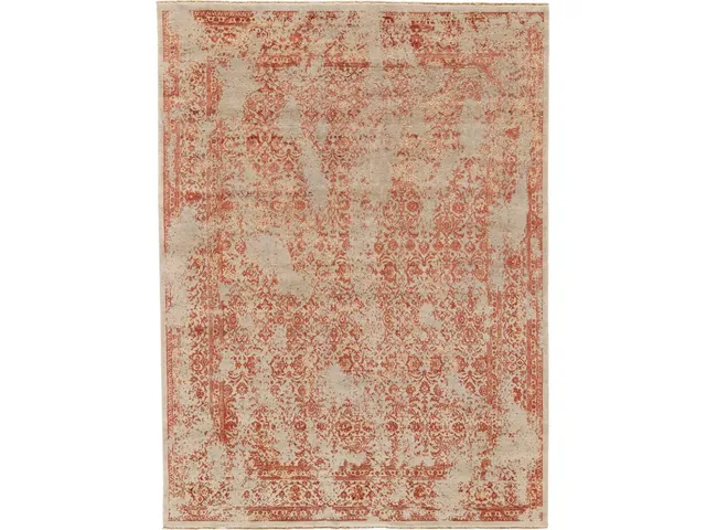 Doshi RUST/IVORY Rug