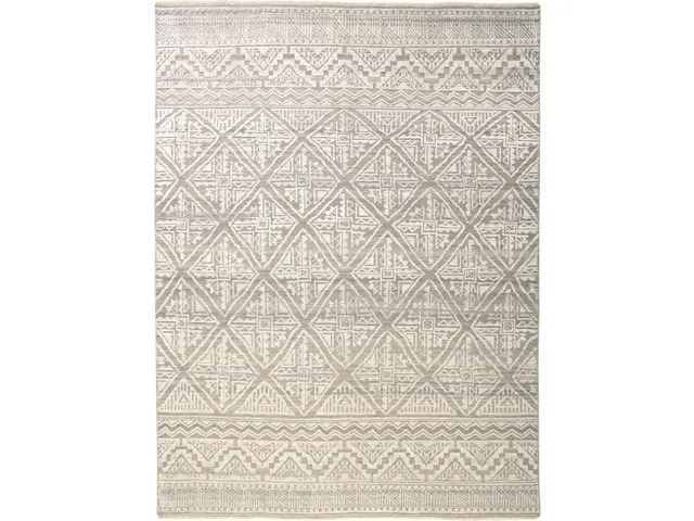 Payton BEIGE/GRAY Rug