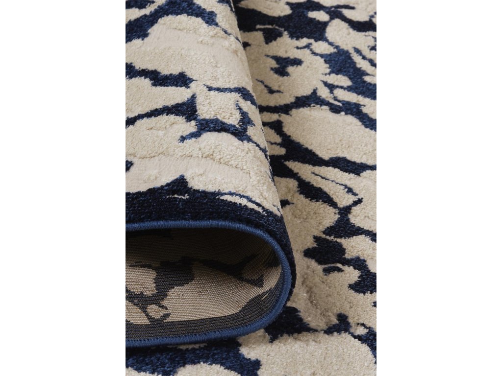 Remmy Transitional Abstract, Ivory/Blue, 10' x 13'-2" Area Rug - image 5