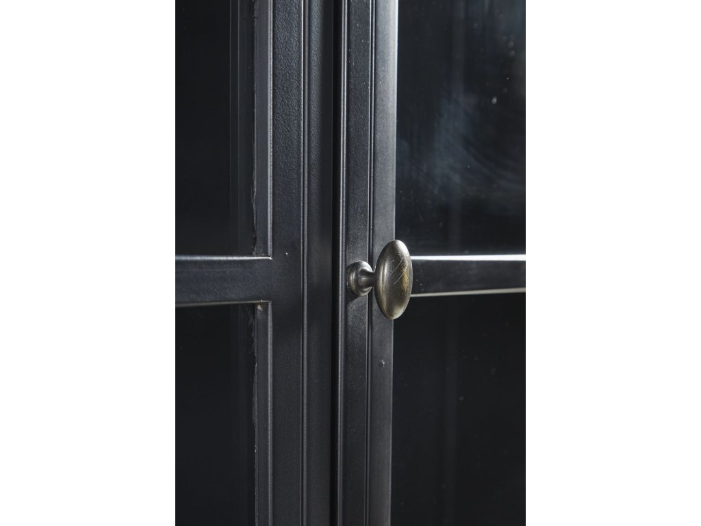 Arched Iron Cabinet - image 3