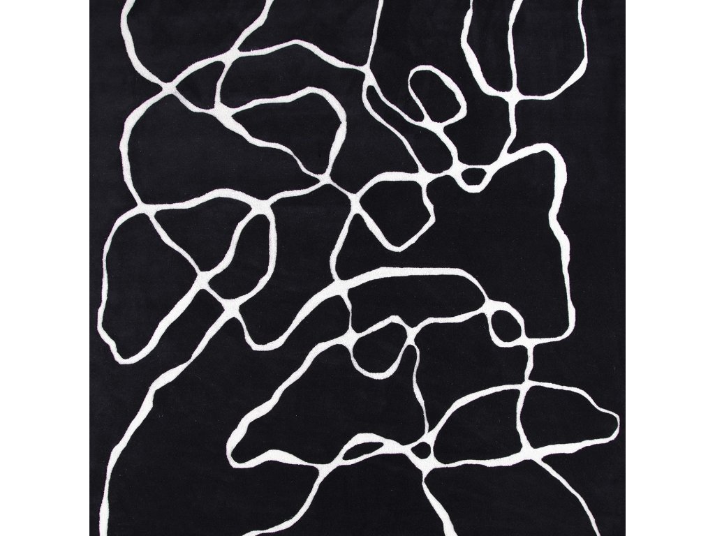 Squiggle Rug-Black/Ivory-8 x 10 - image 2