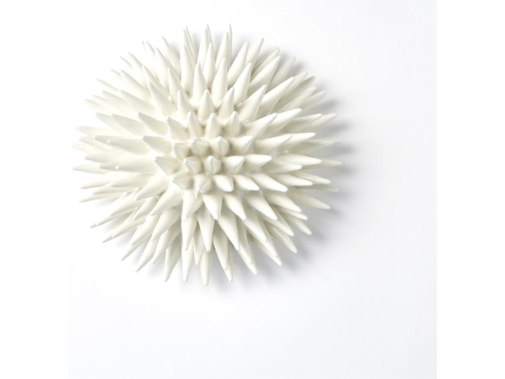 Urchin-White-Med - image 5