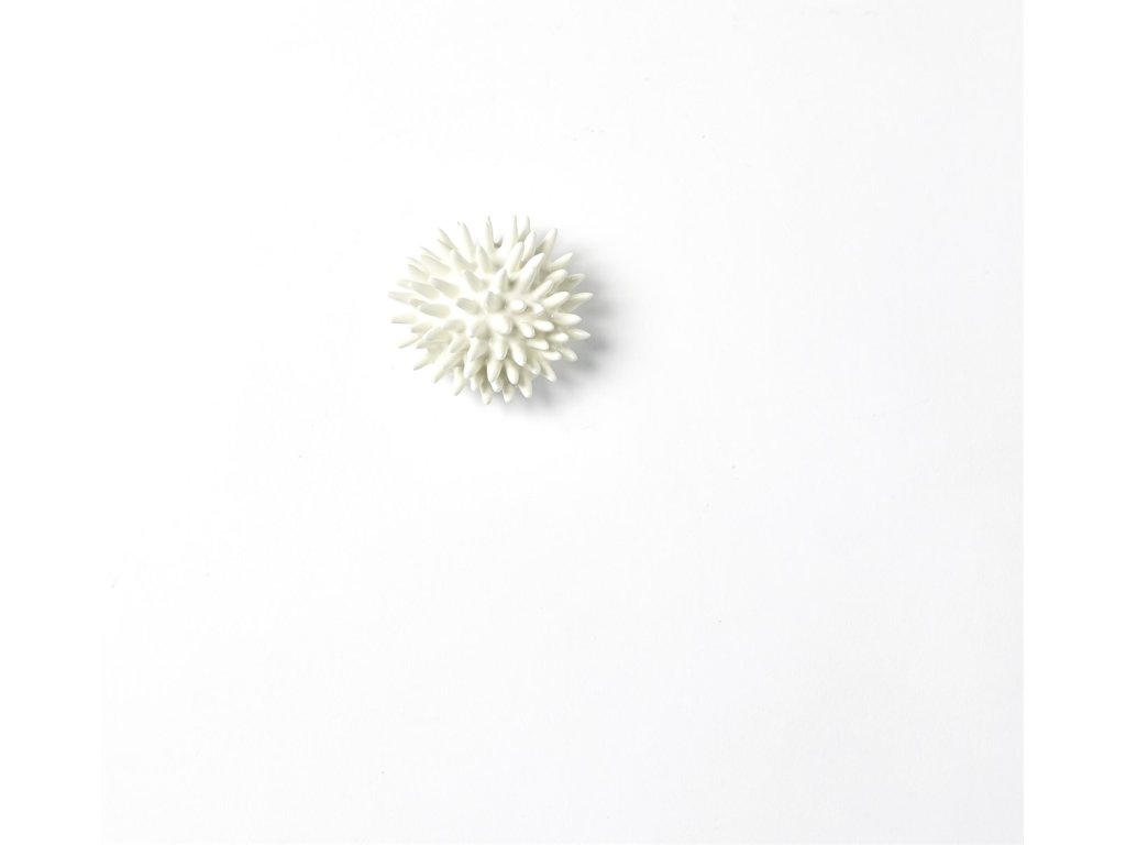 Urchin-White-Med - image 6