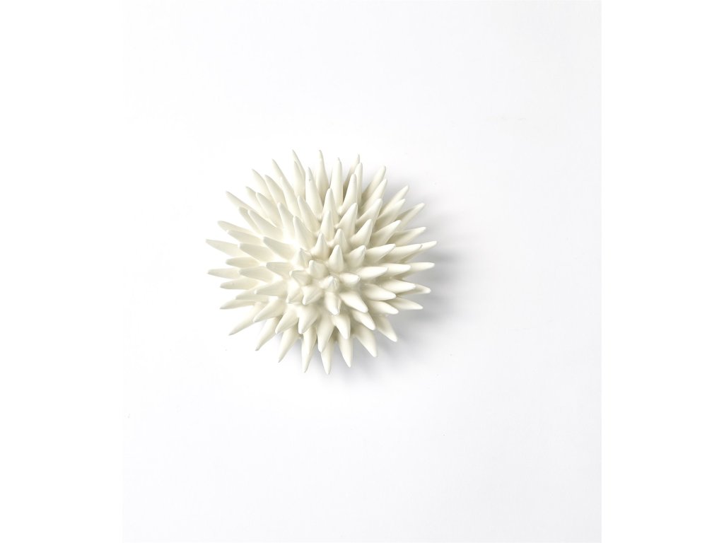 Urchin-White-Med - main image