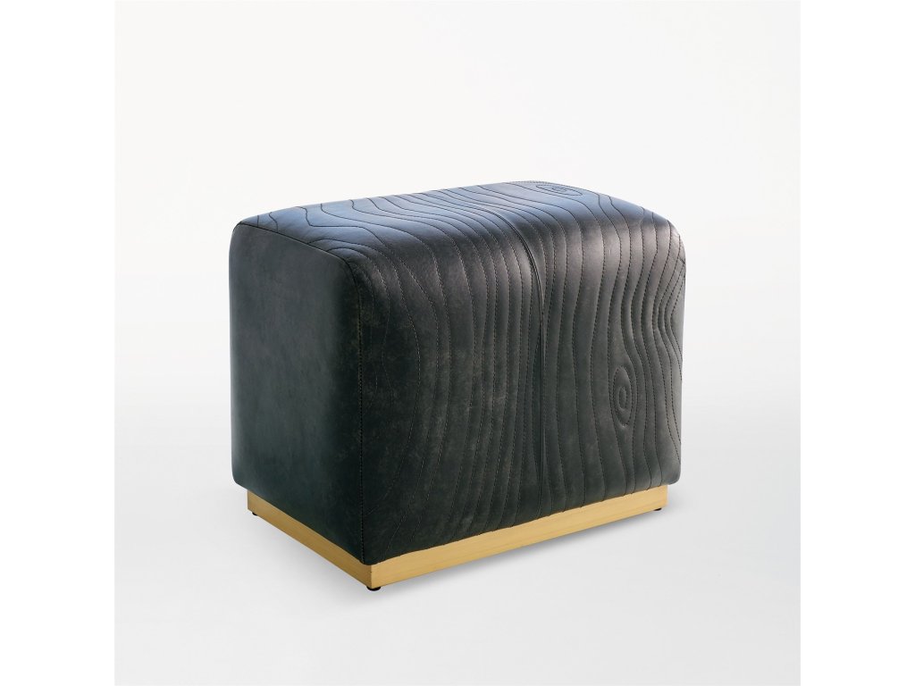 Forest Ottoman-Charcoal Leather - image 1