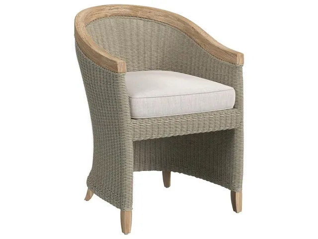 Cambria Dining Chair in Canvas Canvas w/ Self Welt