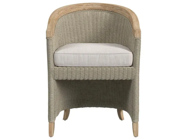 Cambria Dining Chair in Canvas Canvas w/ Self Welt - Alternative View