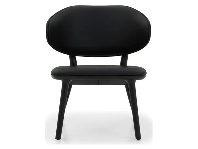 Soren Lounge Chair - Matte Black - Alternative View