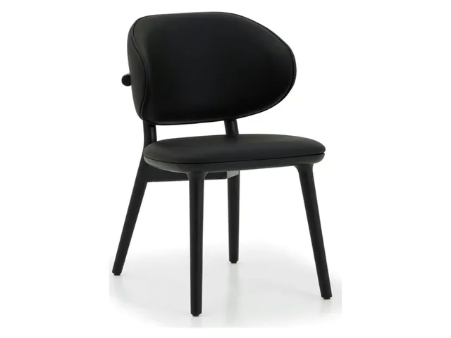 Soren Dining Chair - Matte Black